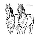 Drawing of a pair of white horses in full face